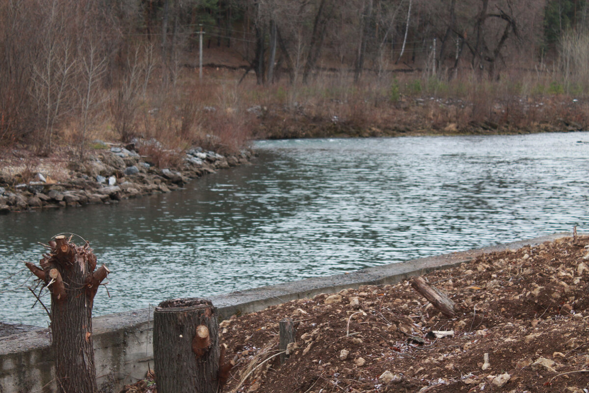 Фото автора Осень