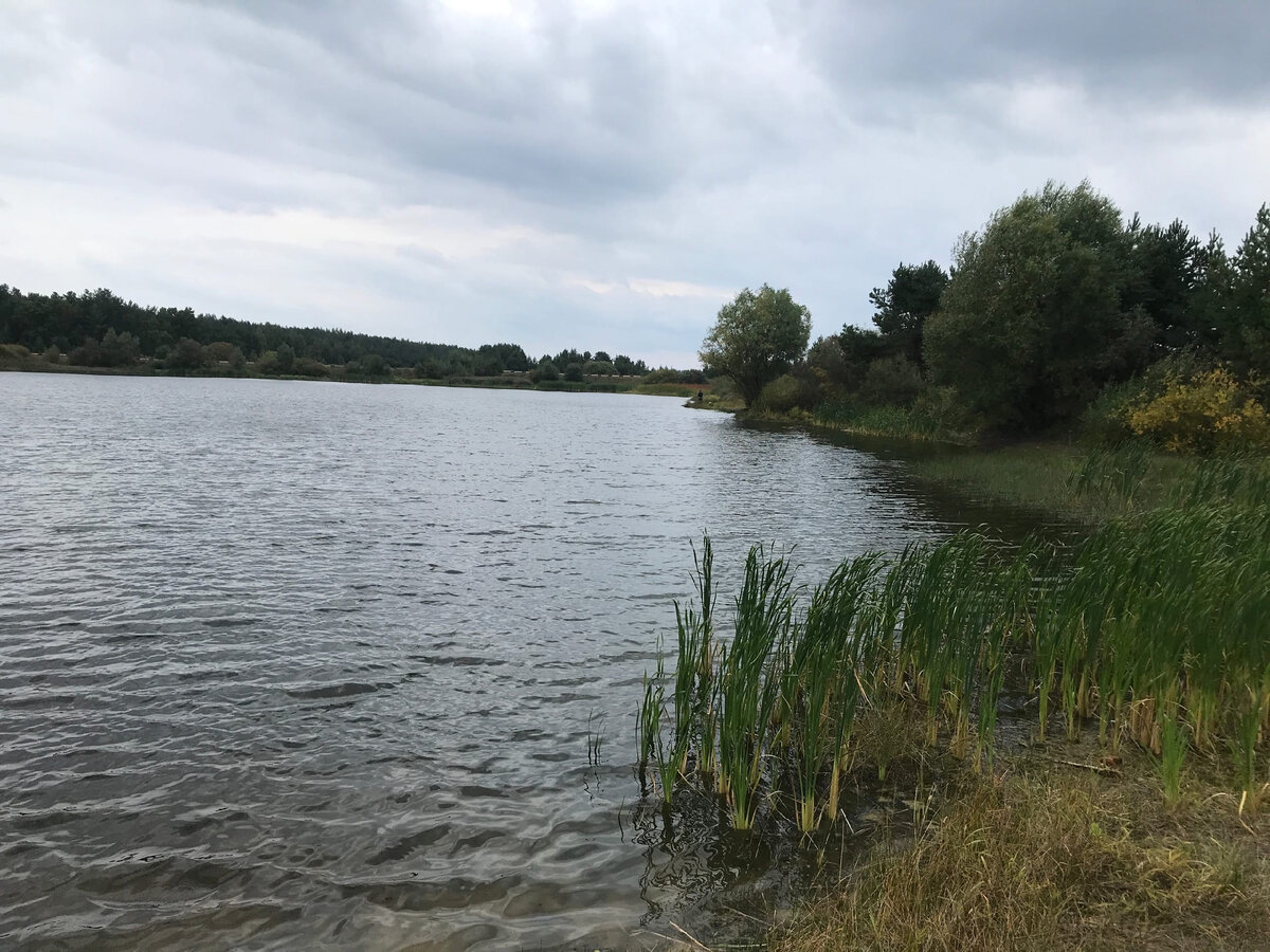 пруд Комаровский