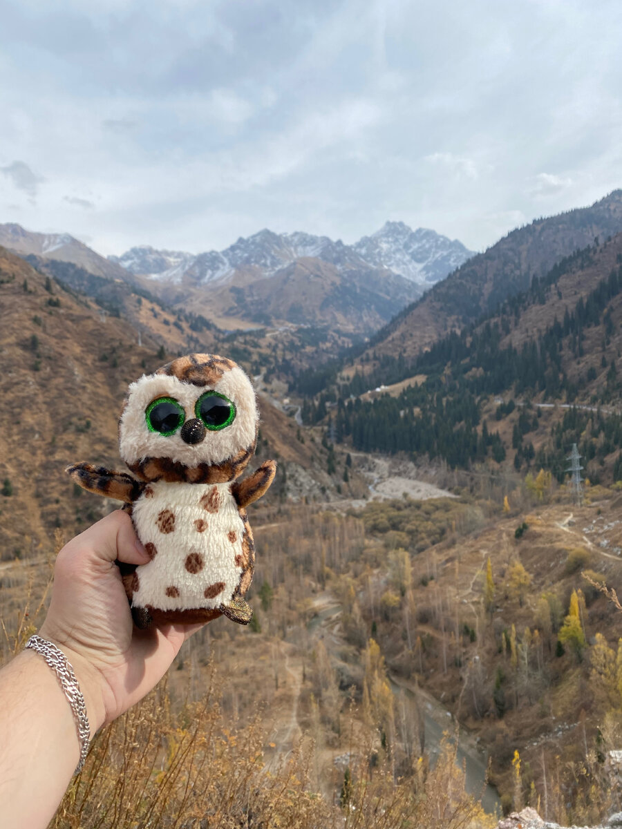 Лапусеныш во всей красе