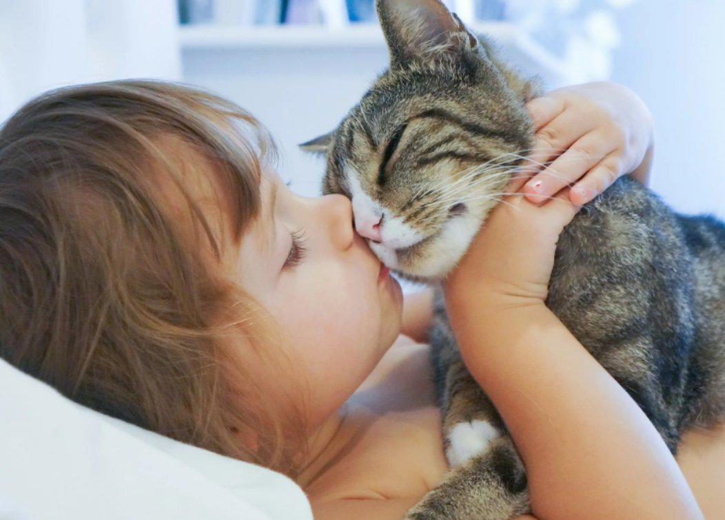Кошка с ребенком