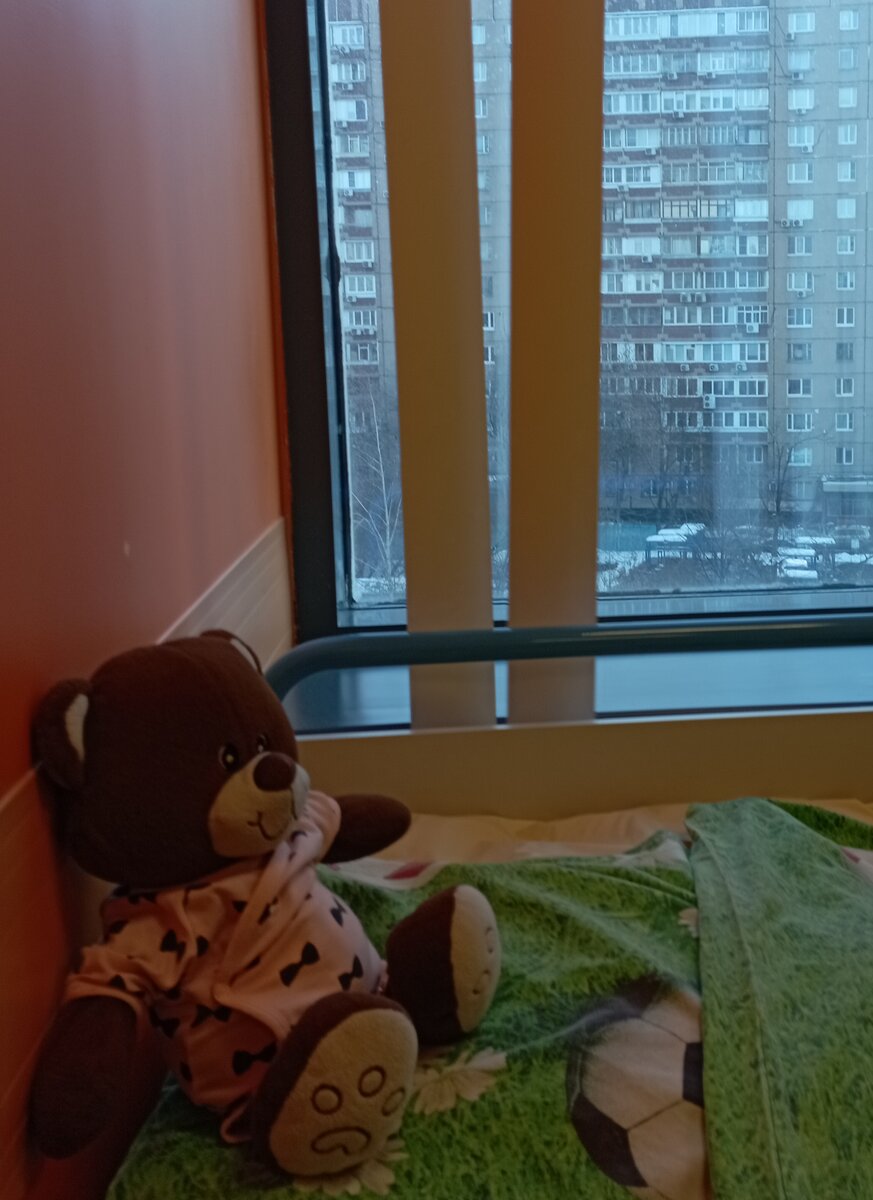 Вид из нашего больничного окна. Морозовская ГДКБ, ревматологическое отделение, палата номер 1. Фото моё.