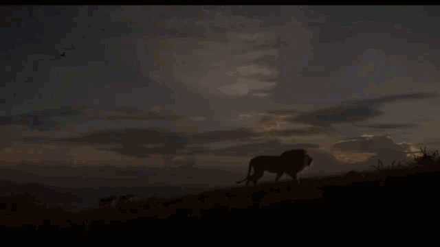 Кадры из трейлера мультфильма "Король Лев"  2019 года.