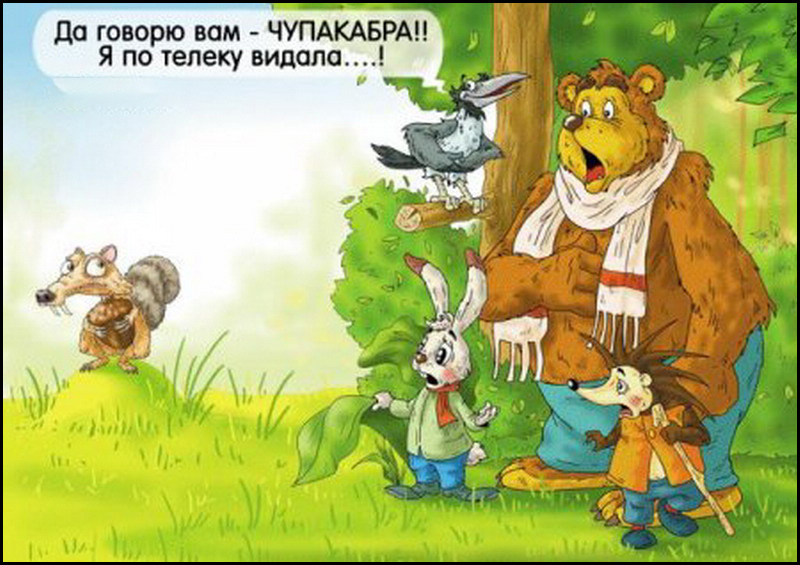 Фото из открытых источников