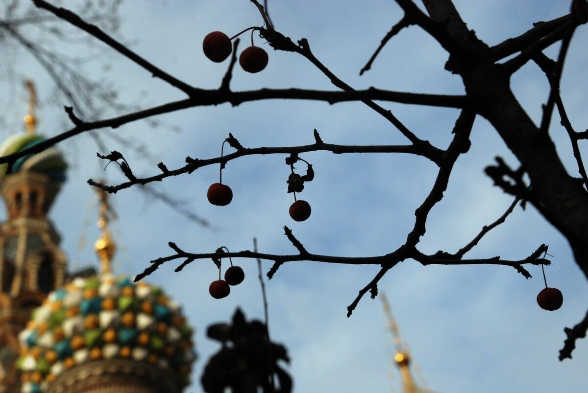 Фото Ларисы Андреевой