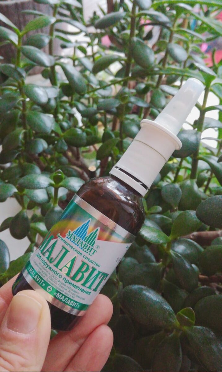 из личного фотоархива