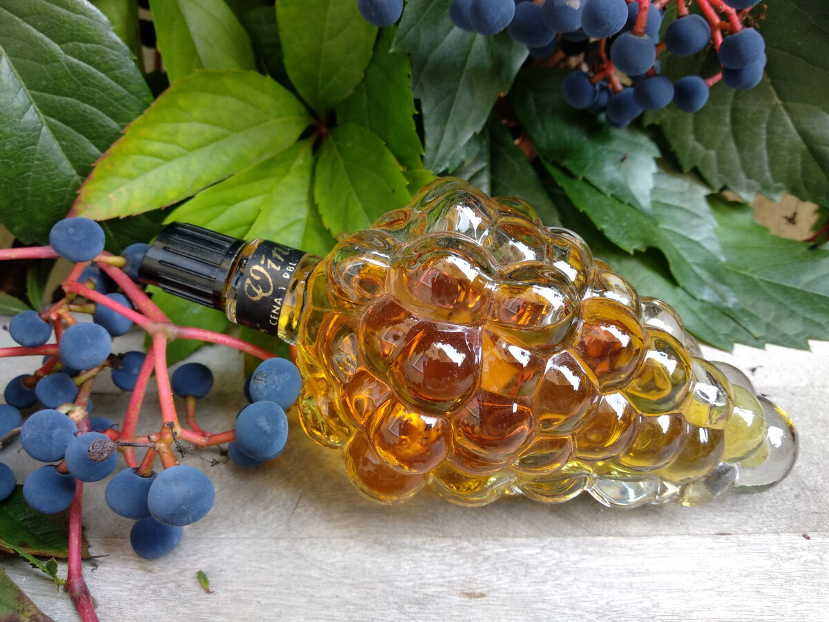   Дзинтаровский "Виноград" - не про спелые виноградые грозди, не про молодое вино, и даже не про вино выдержанное.-2