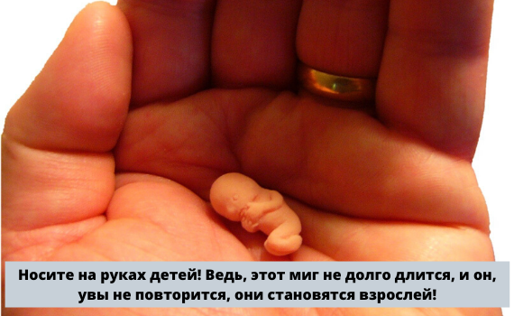 фото взят: Яндекс картинки