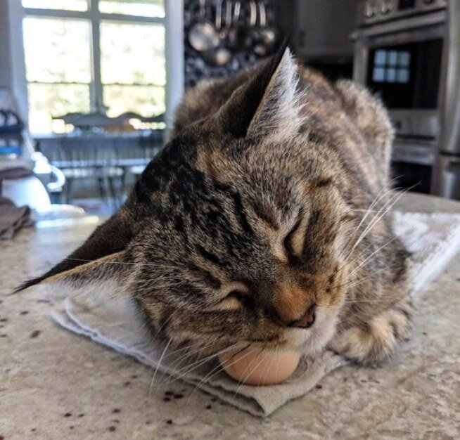 Источник фото: cutesypooh.com