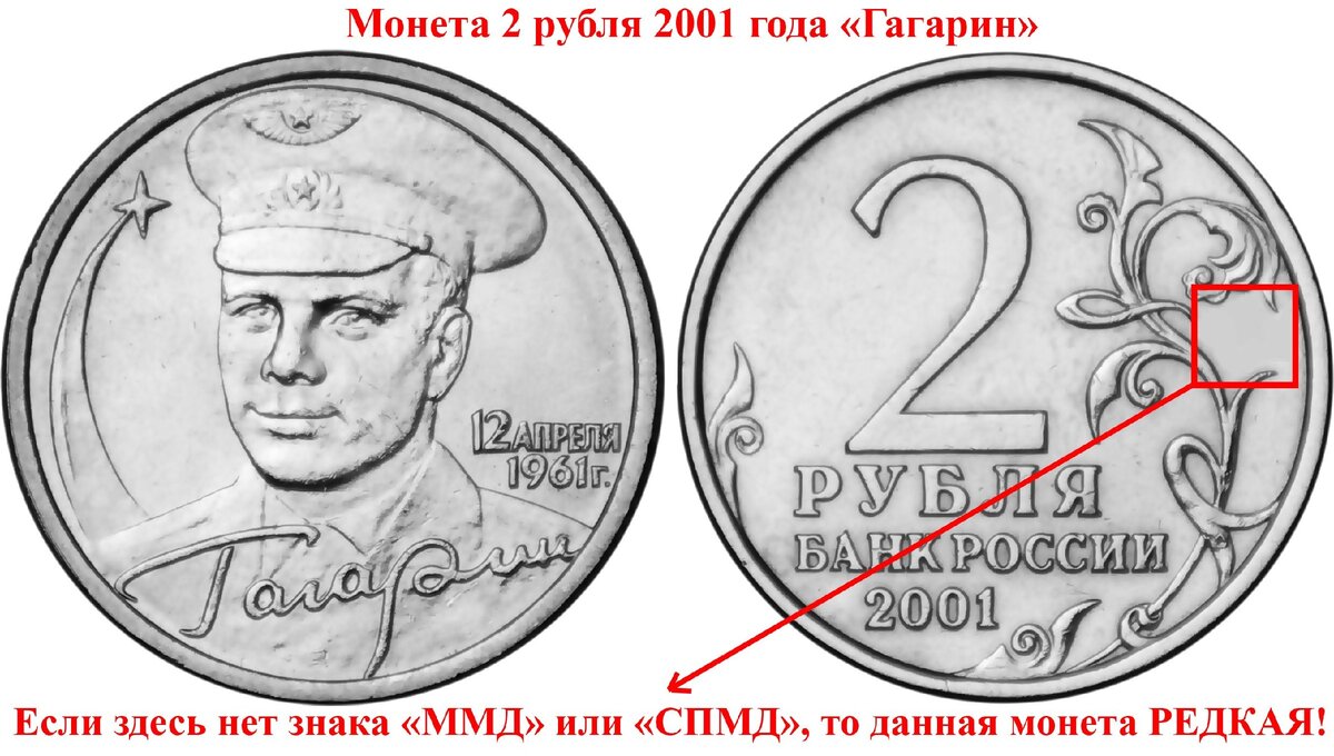 фото из свободного доступа