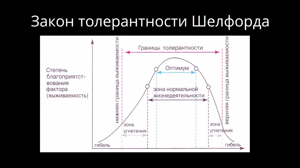 Закон толерантности шелфорда примеры