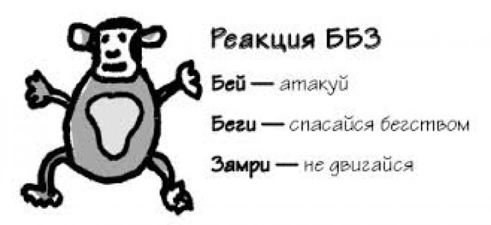Реакция замри психология. Реакция замри психология. Бороться или бежать. Реакция замри психология. Мир глазами ребенка с аутизмом.
