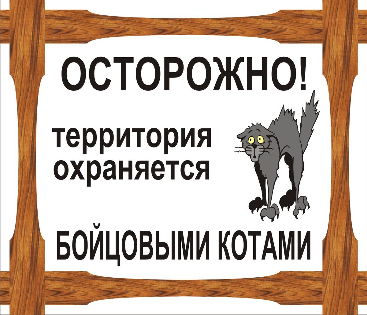 Хочешь уберечь дачу? Табличка про злую собаку, прикольные, но эффективные  варианты.... | Клондайк идей от Ирины Малкиной | Дзен