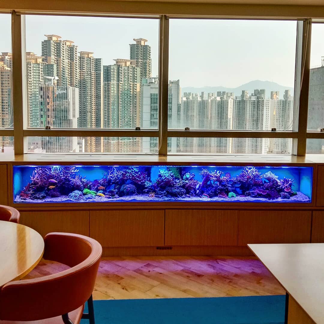 Фото из инстаграма redfinaquarium.