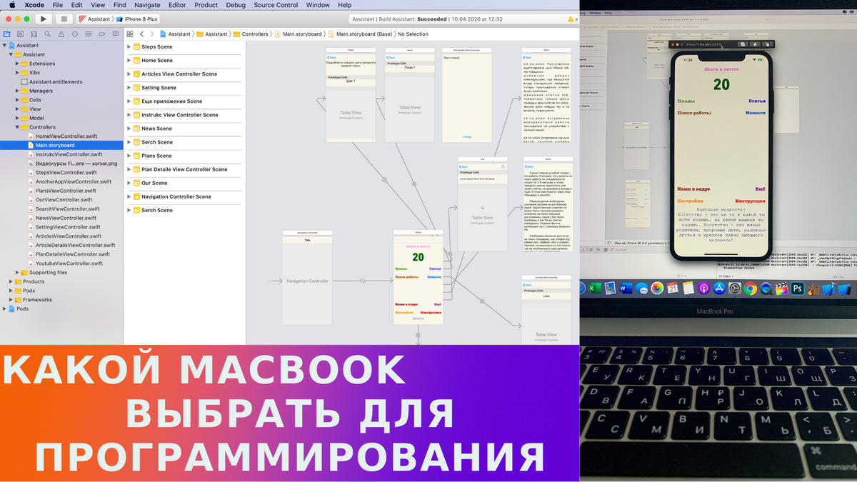 Запрещенный мак. Мак поддушковый. Какой мак взять. Мак снотворный. Мак самосейка цветник.
