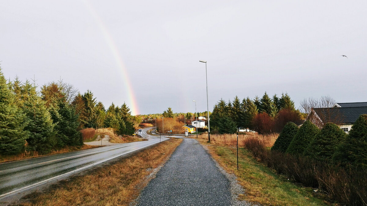 Главная дорога, огибающая остров. Фото автора.