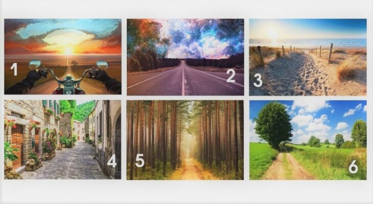 Фотоматериал: blog.okhelps.com/ pixabay.com/ru