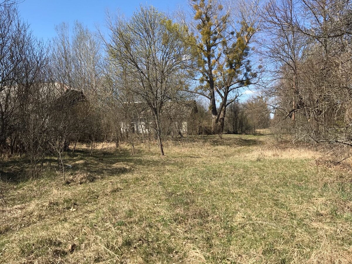 Село в Чернобыле, где недавно жили люди: деревня Лубянка и ее супер сохраны