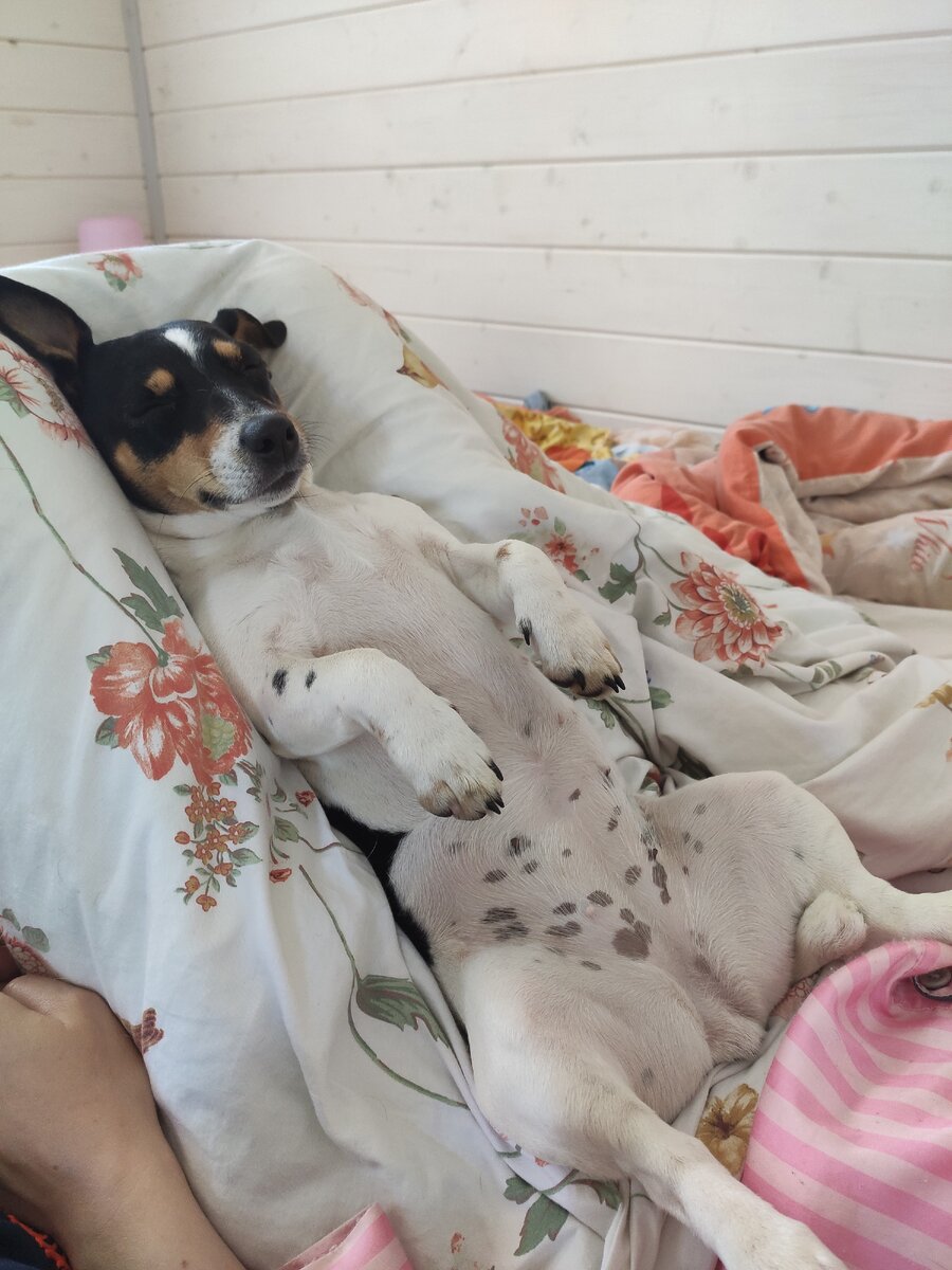 Наша Шаня уснула во время массажа))