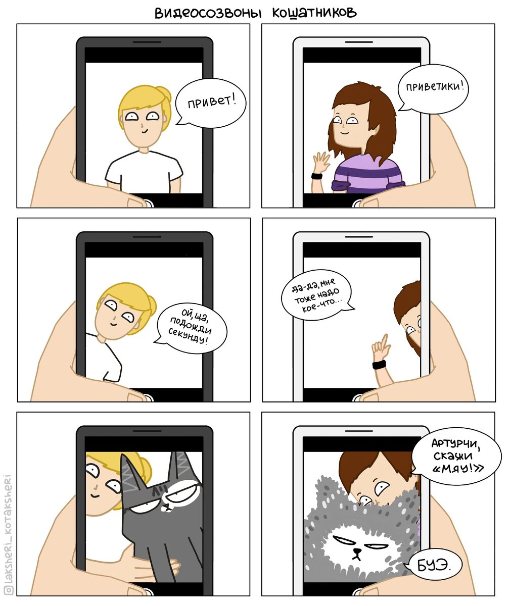 А вы тоже тут же бежите показывать своего кота, если созваниваетесь с близкими по видеосвязи?🤣🤣