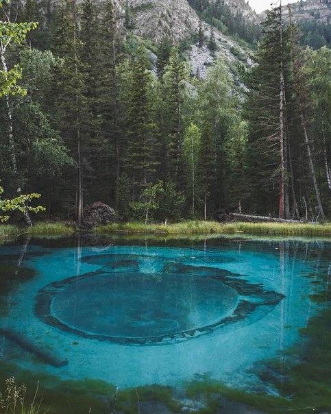 Источник twitter.com