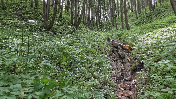 Бродим по оврагам, некоторые достигали высоты четырех этажных домов