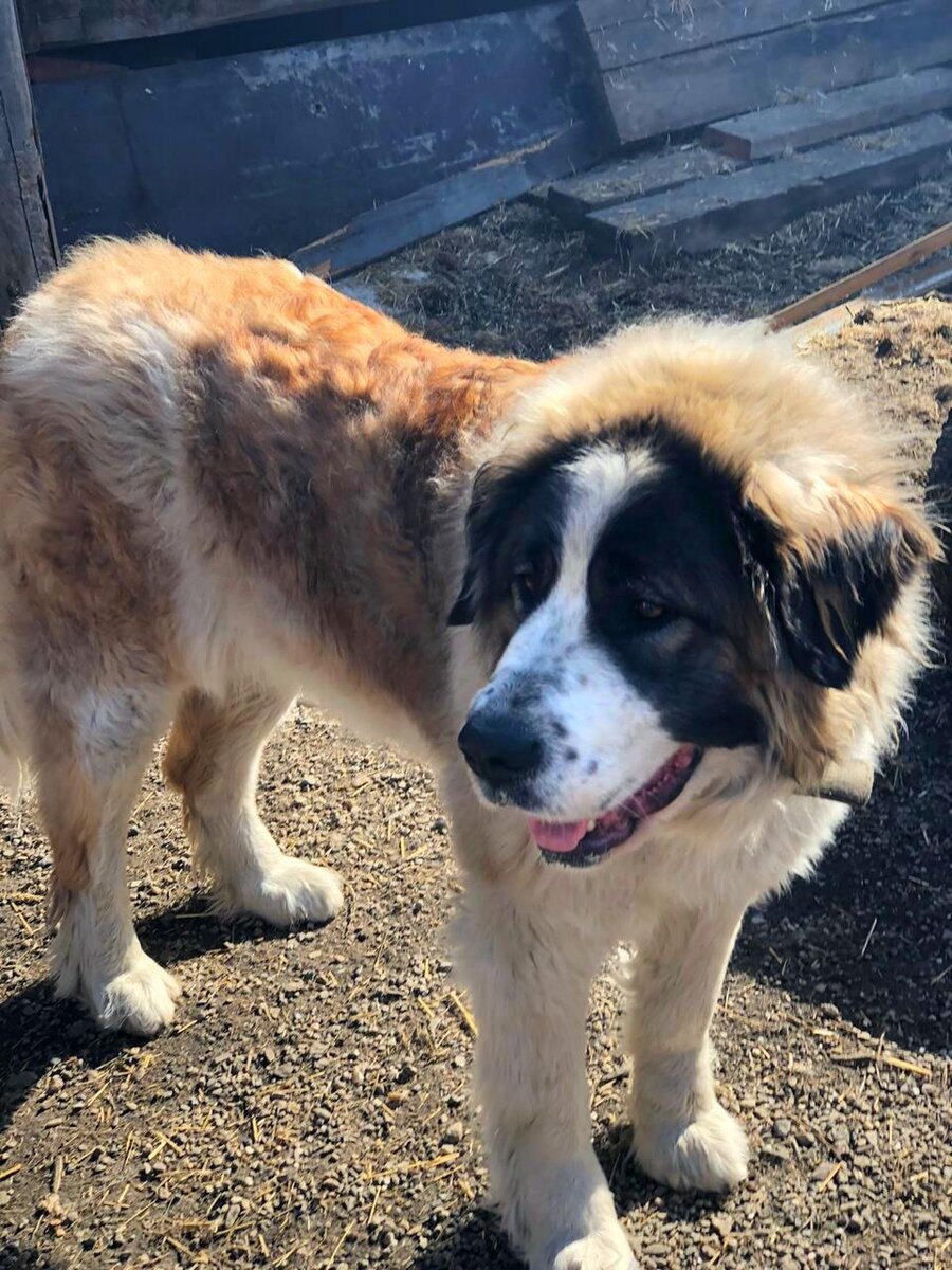 Глаша в приюте