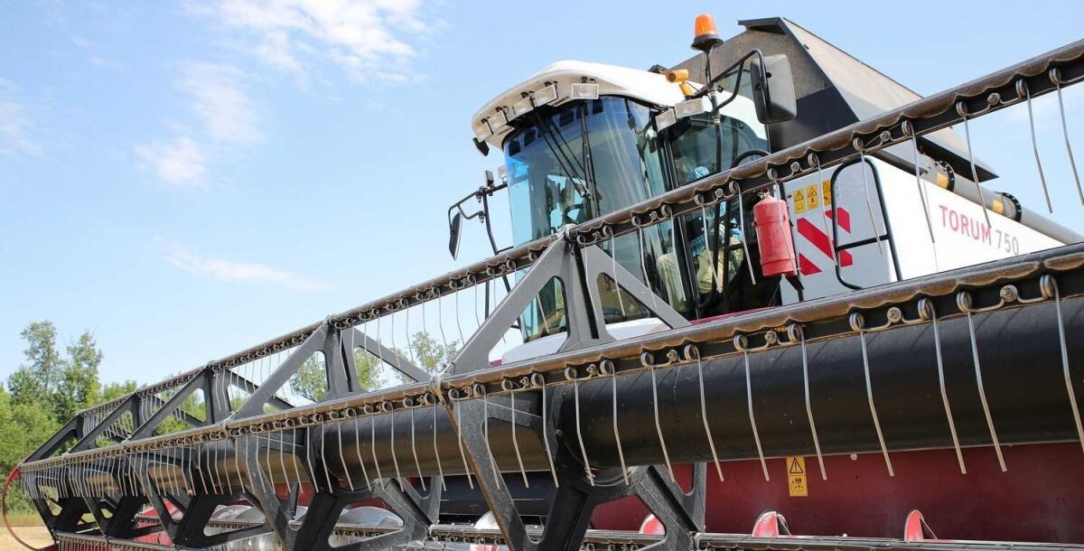 Фото: donland.ru