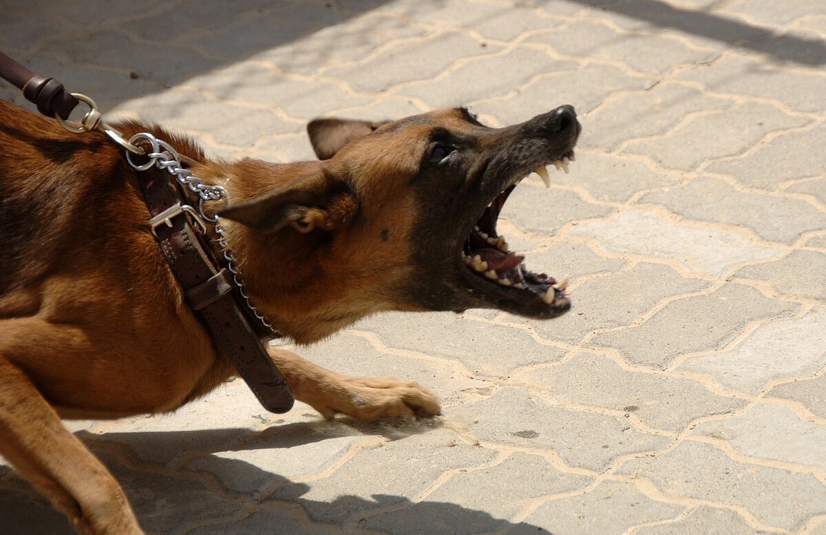 Изображение skeeze с сайта Pixabay 