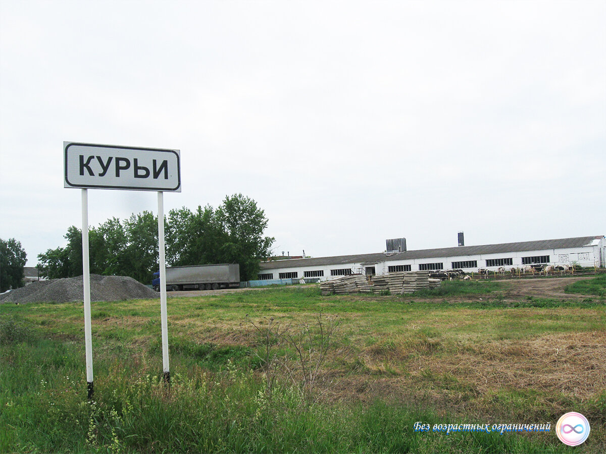 село трусово алтайский край курьинский район. курья курьинский район алтайский край. храм курья курьинский район. прогноз погода курья. село ивановка алтайский край курьинский район.