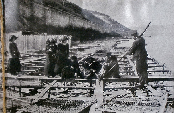 Фотография взята из источника yandex.ru