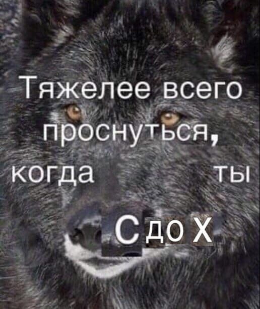 ___________________________________________________