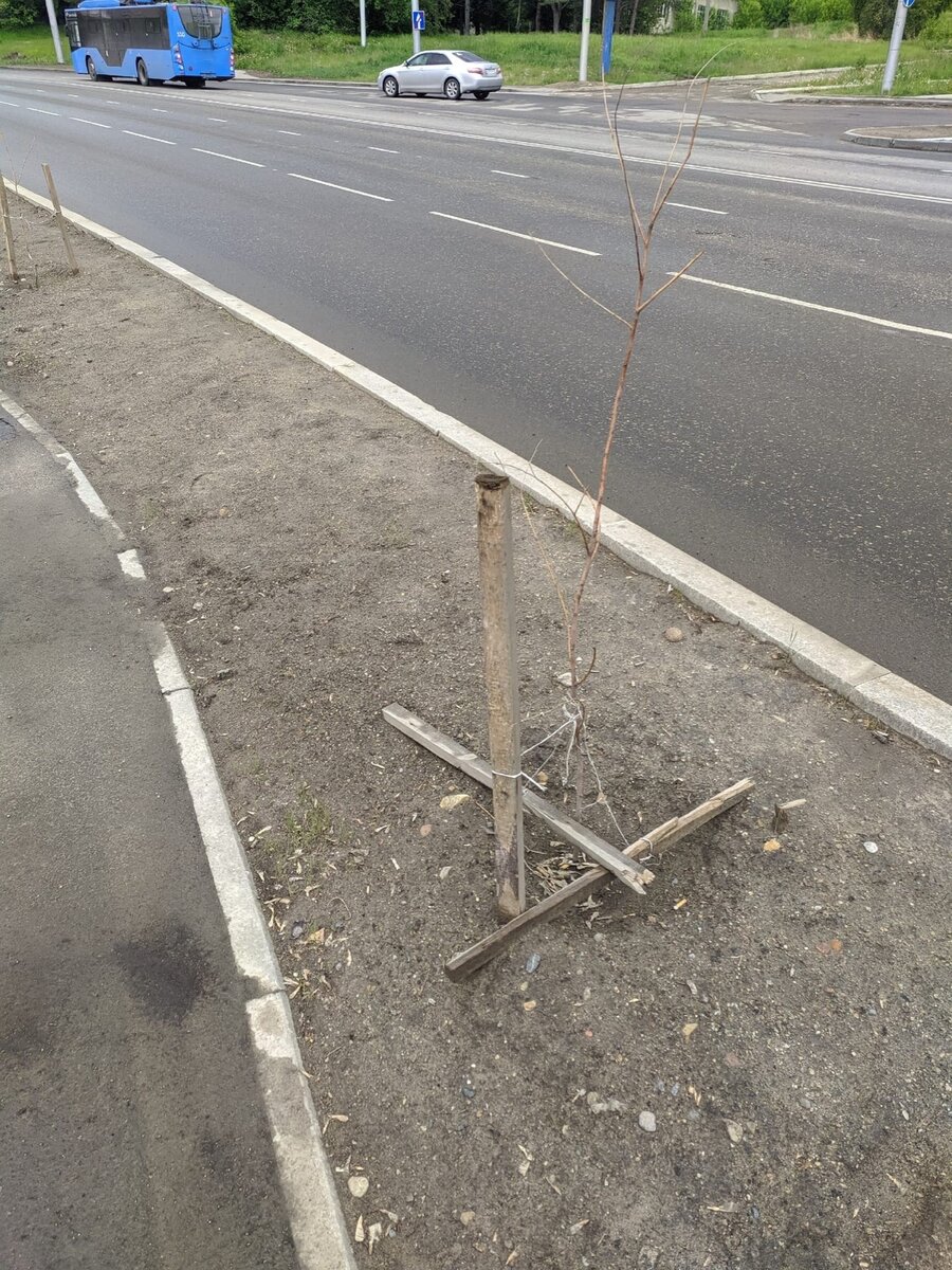 Фото прислал читатель блога.