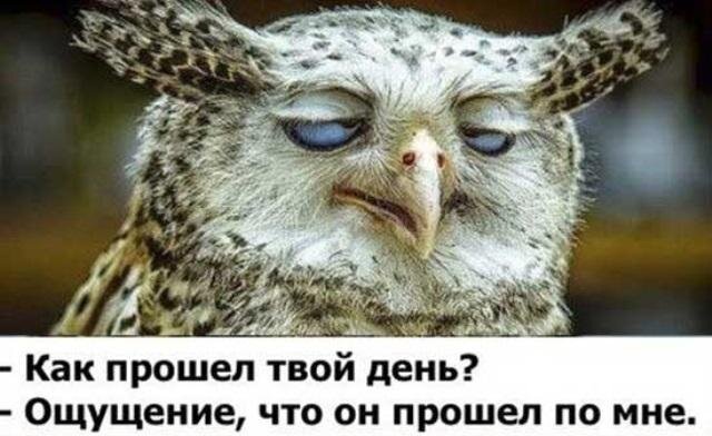 Источник https://memax.club/kartink