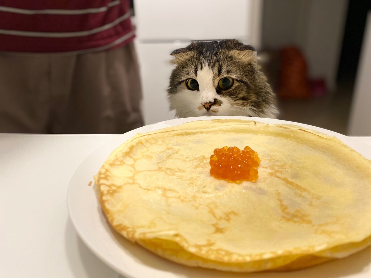 Это всё мне?