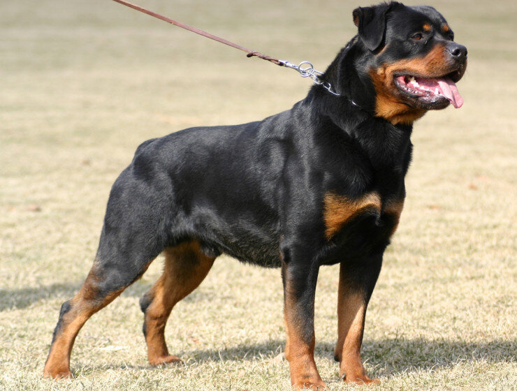 Фото взято из интернета