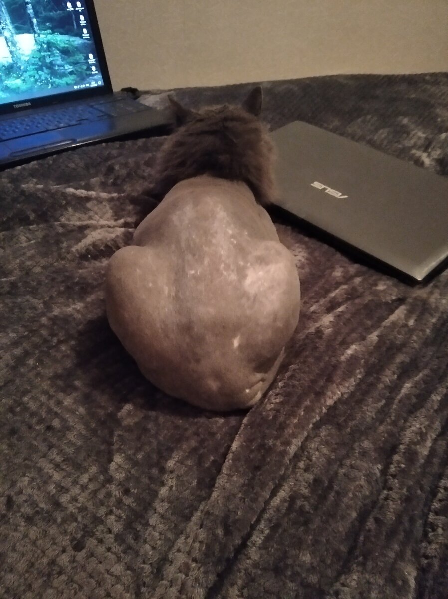 Домашний архив