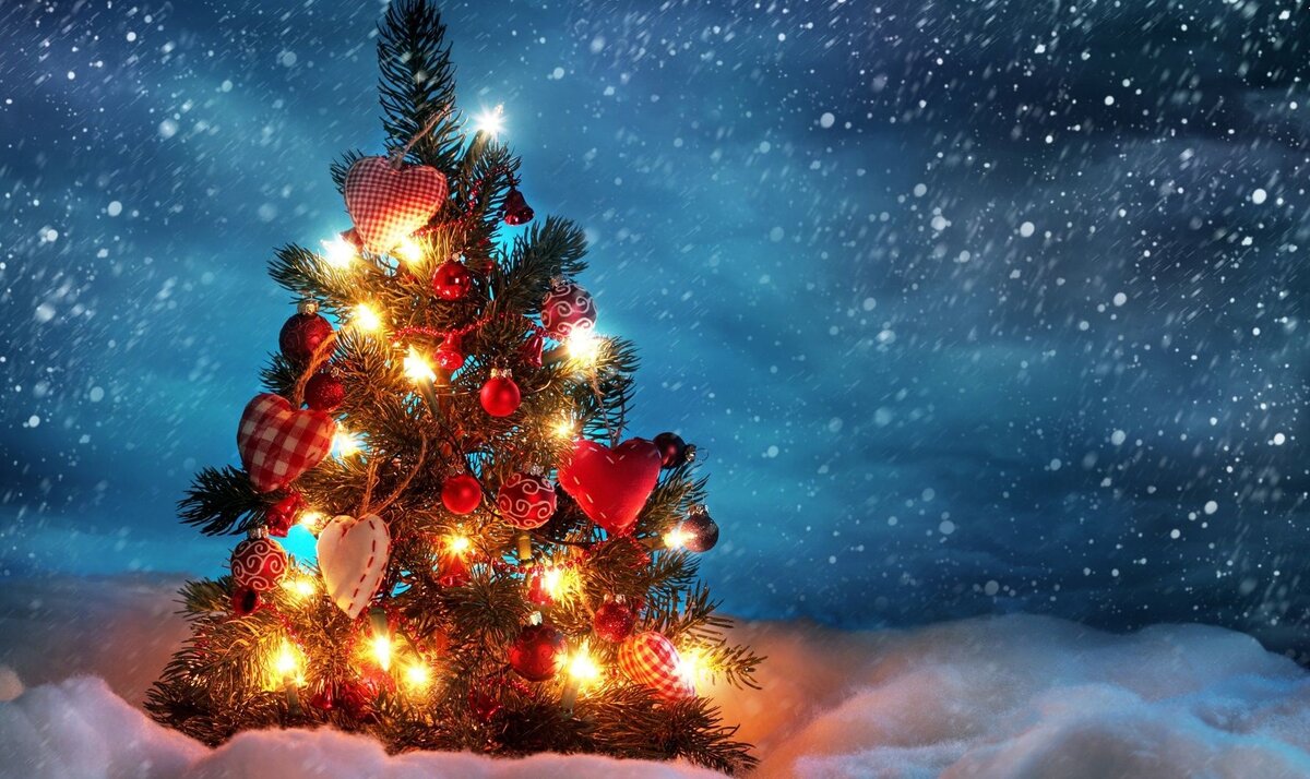 фото pixabay.com