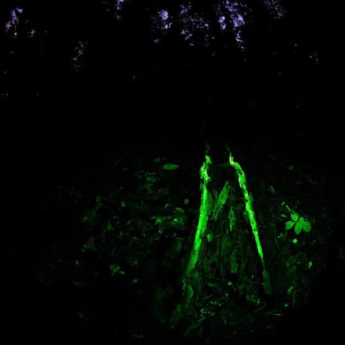 Секретная метка, ведущая в секретный лагерь