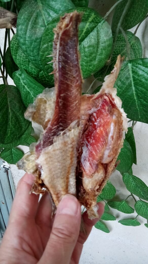 Вобла с молоденькой икоркой!!!