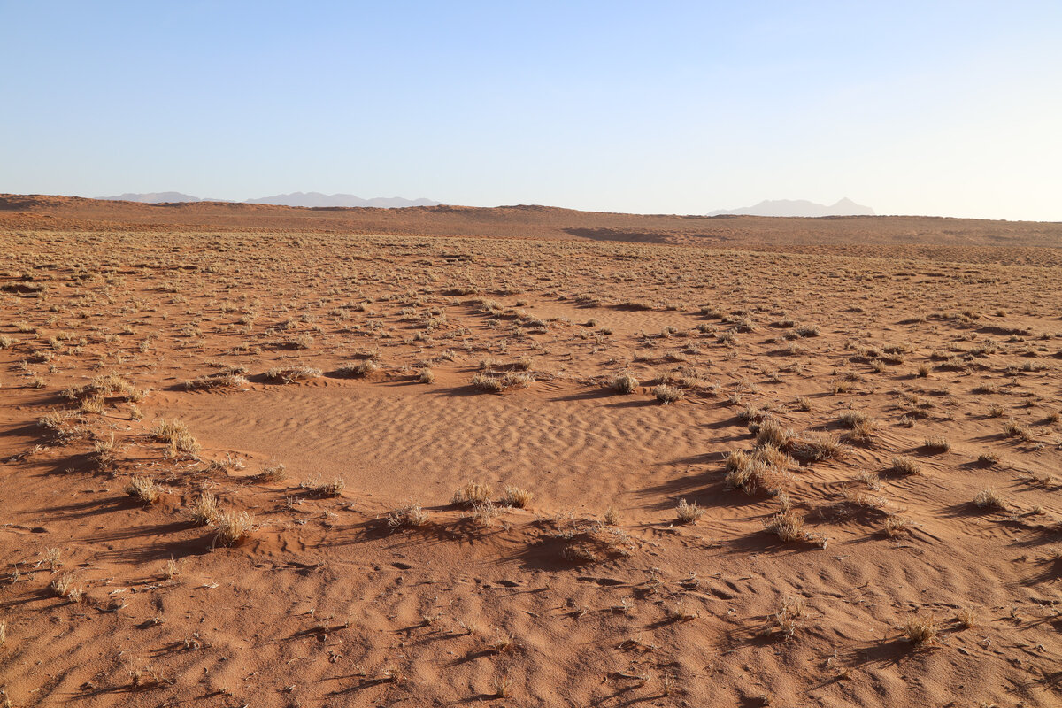 Кругом было пустынно. Ведьмины круги пустыня Намиб. Таинственные круги в Намибии. Круги в пустыне. Кружок в пустыне.