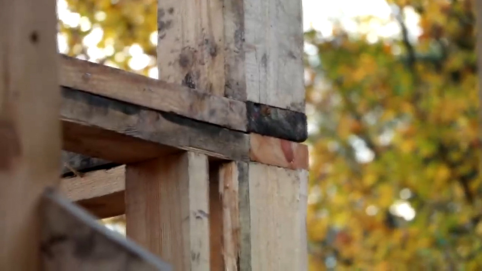 фото взято в яндекс картинках