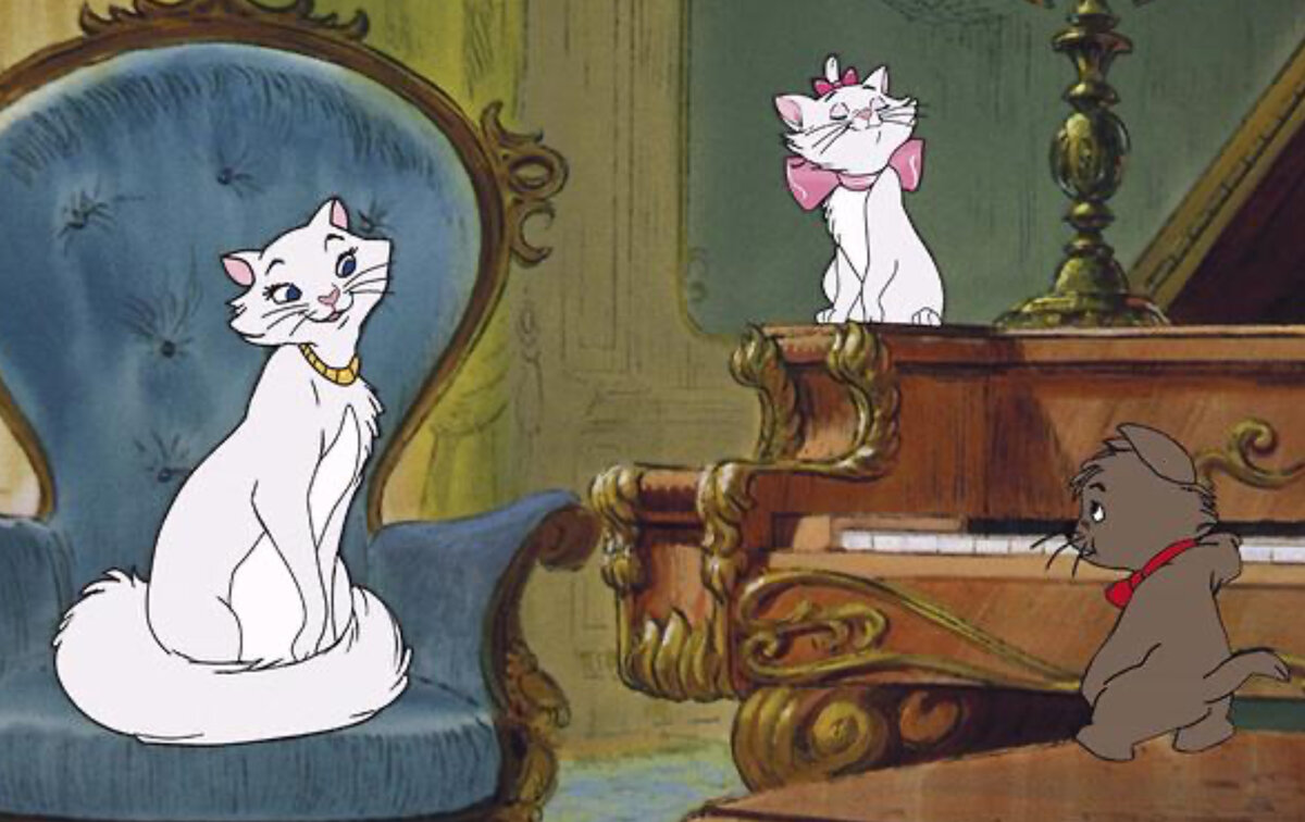 расизм налицо )))