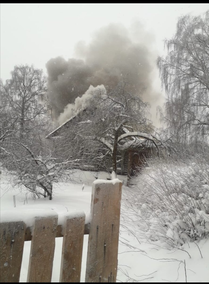 Все видела своими глазами