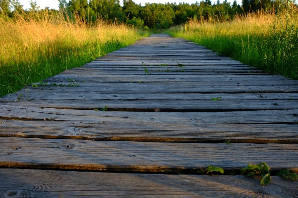 Дерево - природный материал и гармонично сочетается с различными типами ландшафтного дизайна