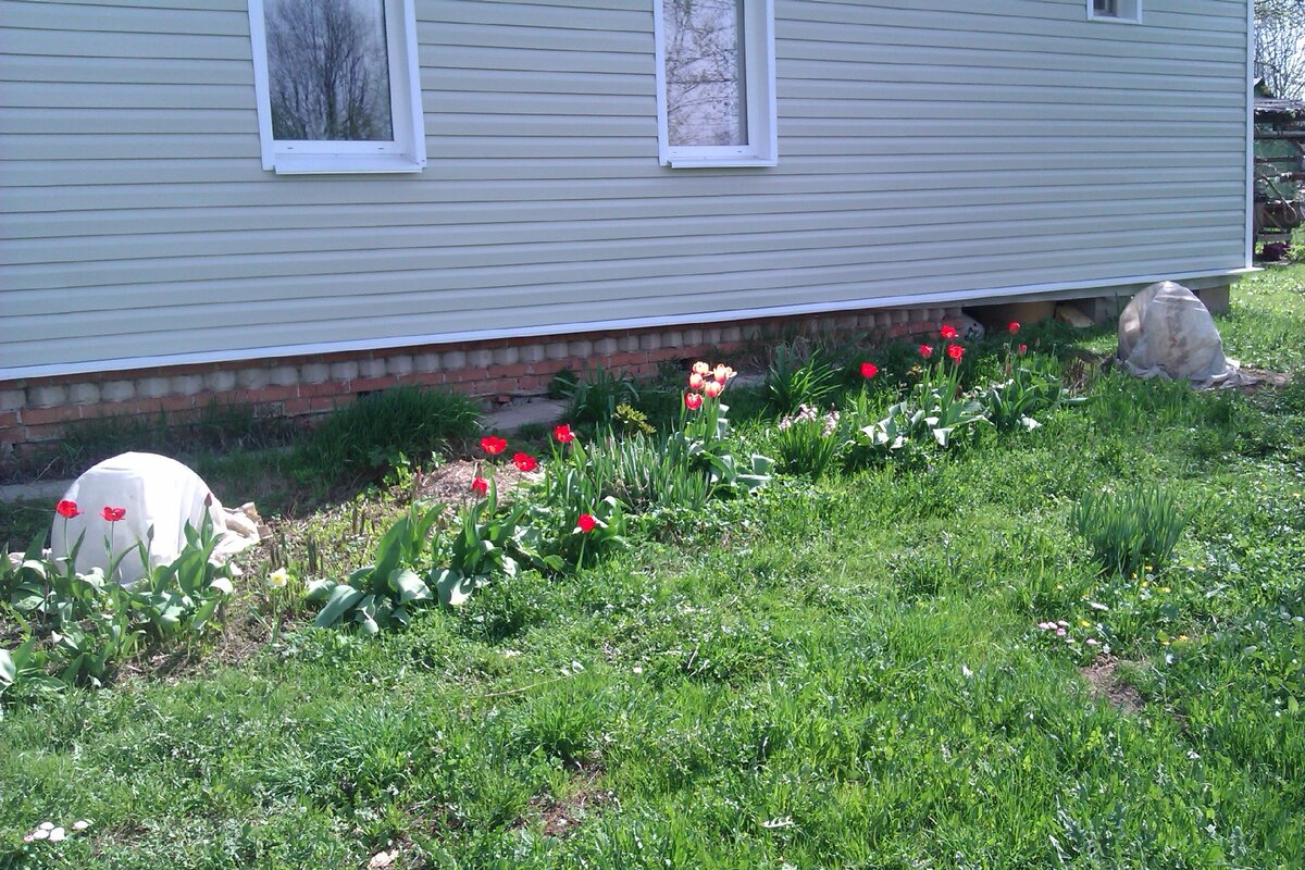 Фото принадлежит автору