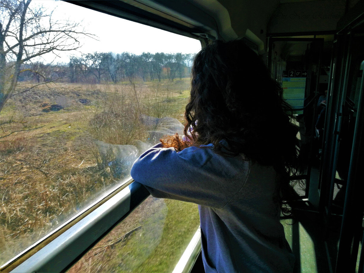 Фото из открытого источника в интернете 