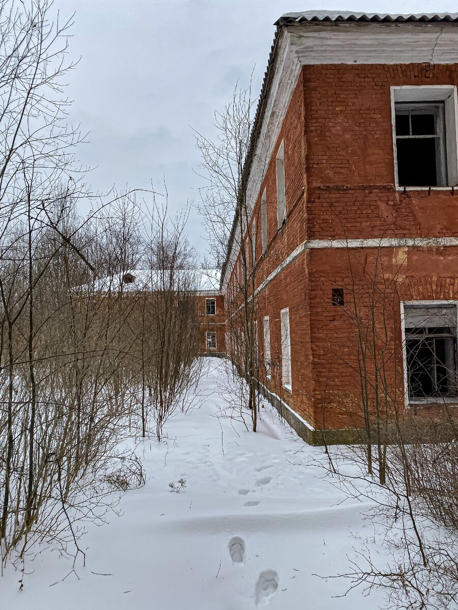 Казармы аракчеева в селищах довоенные фото