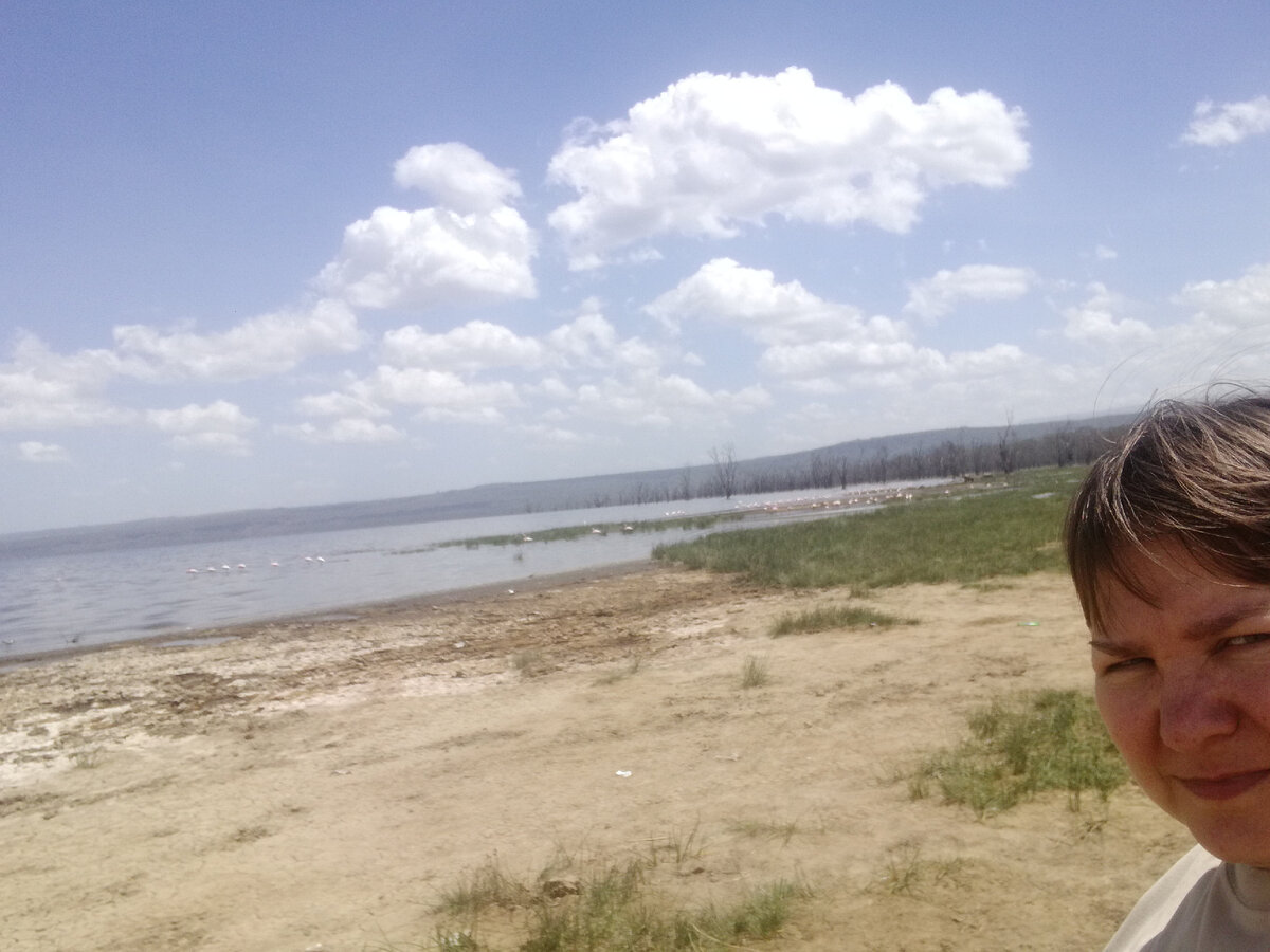 Там вдали фламинго и я 