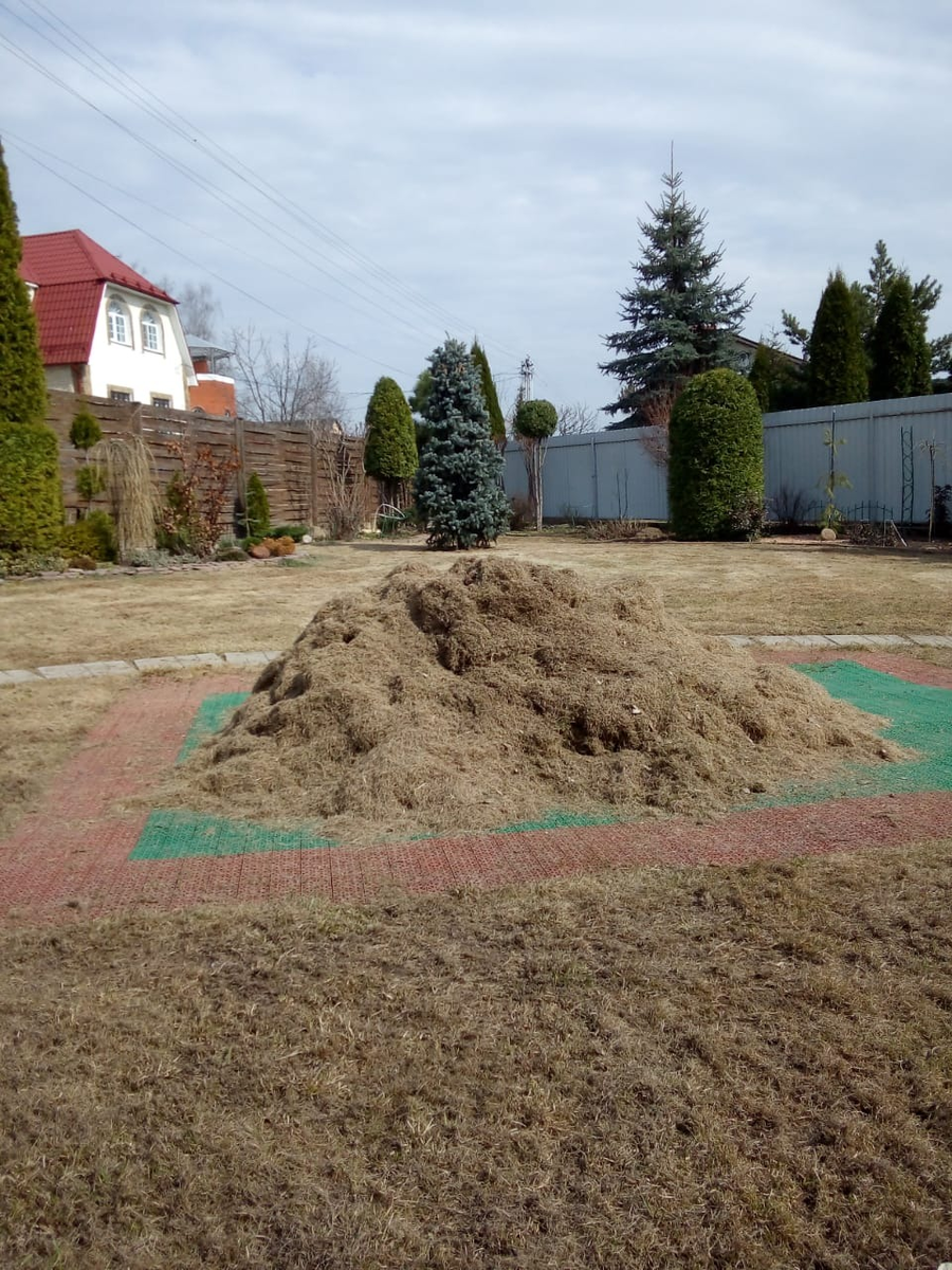 Это 1/4 часть из того, что вычесали из газона весной 2021