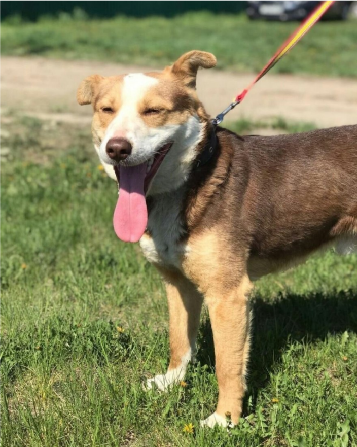 Наш любимец. 